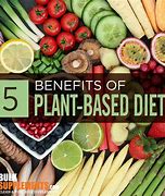 Image result for Plant-Based Diet Supplements