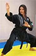 Image result for Pro Martial Arts