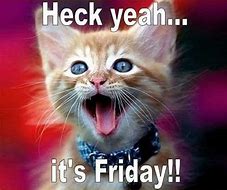 Image result for friday funniest cats meme