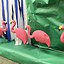 Image result for Jungle VBS Decorations