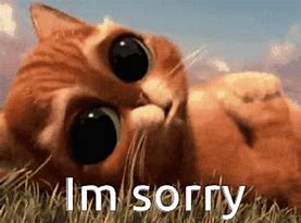 Image result for I AM Sorry Animal Memes