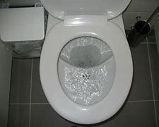 Image result for Eco Flush Toilet