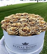 Image result for Gold Rose No Background