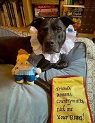 Image result for Squeaky Toys