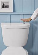 Image result for Gadget to Help Elderly Push Toilet Button