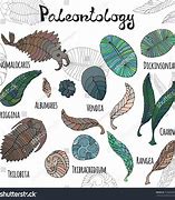 Image result for Neoproterozoic