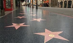 Image result for Hollywood Walk of Fame First Star