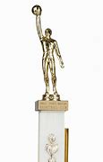 Image result for Rookie of the Year Trophy