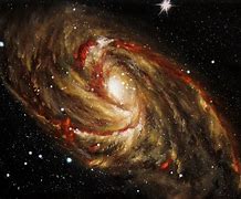 Image result for Red Galaxy Carton