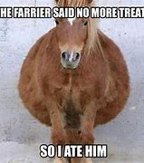 Image result for Summer Horse Meme