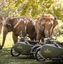 Image result for Royal Enfield Classic 350 with Sidecar