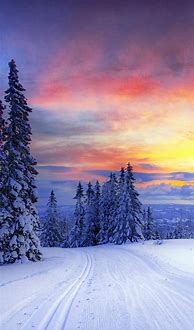 Image result for Winter Scenes Wallpaper iPhone
