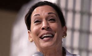 Image result for Kamala Harris Costume