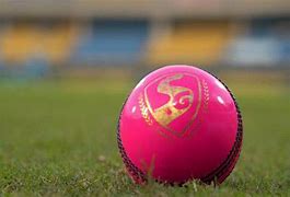 Image result for Cricket Outline