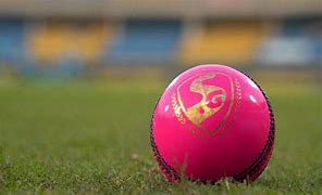 Image result for Cricket Machine Ball Achete