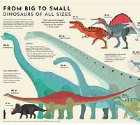 Image result for Smallest Dinosaur Size