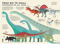Image result for The Actual Size Book Dinosaur