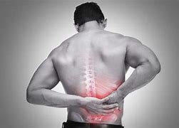 Image result for Chiropractic Back Pain