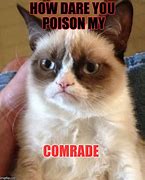 Image result for Cat Poison Meme