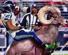 Image result for Seahawks Rams Meme