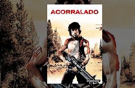 Image result for acorralar