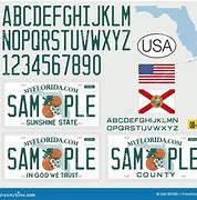 Image result for Florida License Plates Texture