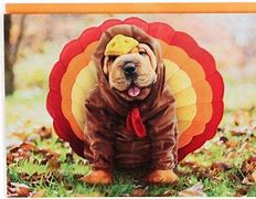 Image result for Funny Dog Thanksgiving Cards