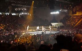 Image result for WrestleMania 50