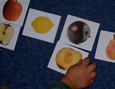 Image result for Whole and Half Fruits Outline