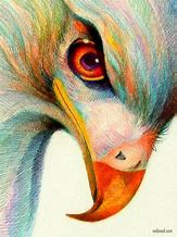 Image result for Color Pencil Art Amazing
