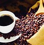 Image result for What Is the Most Expensive Coffee in the World Animal