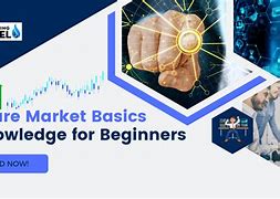 Image result for Learning From Share Market