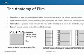 Image result for Film Base