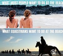 Image result for Horse On Shore Meme