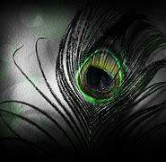 Image result for Black and White Feather Wallpaper