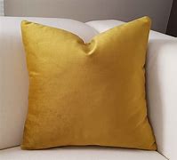 Image result for Luxury Living Pillows Gold