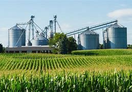 Image result for agroindistrial