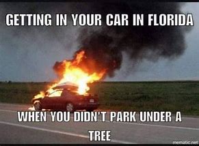 Image result for Funny Florida Heat Memes