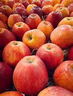 Image result for Different of Red Apple's