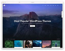 Image result for WordPress Themes
