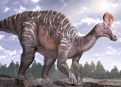 Image result for Weirdest Dinosaurs