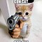 Image result for Cat Holding Gun Meme