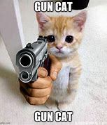 Image result for Cat Giving Gun Meme