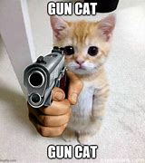 Image result for Cat Gun Do a Crime Meme