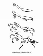 Image result for Draw Praying Mantis