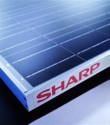Image result for Sharp Solar Panels