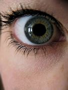 Image result for Computer Contact Lenses