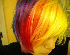 Image result for Dark Rainbow Hair
