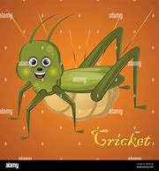 Image result for Cartoon Cricket Insect No Background