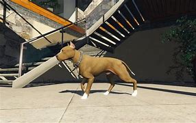 Image result for GTA 5 Dog Mod